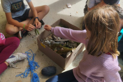 20250723_220310000_iOS-1