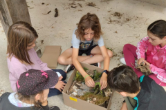 20250723_220311000_iOS-1