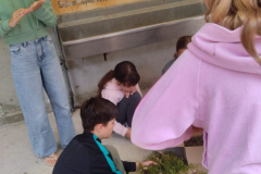 20250723_220313000_iOS