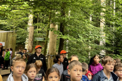 20250724_080716767_iOS