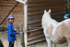 20250725_082540431_iOS