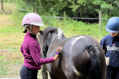 20250725_082617937_iOS