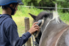 20250725_082835915_iOS