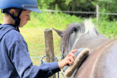 20250725_082836946_iOS