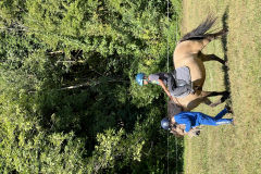 20250725_085456887_iOS