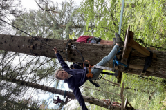 20250725_093034860_iOS