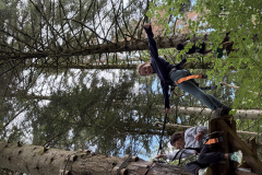 20250725_093214013_iOS