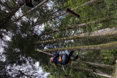 20250725_093356928_iOS