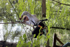 20250725_093612170_iOS