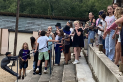 20250725_191640638_iOS