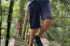 20250726_095211000_iOS-6