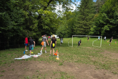 20250730_070138000_iOS-6