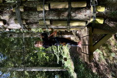 20250731_083409770_iOS