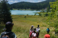 20250731_214649000_iOS