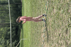 20250801_135030496_iOS