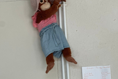 20250805_212722000_iOS-2 20250805_212722000_iOS-2