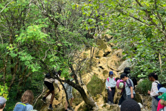 20250806_093526000_iOS-3