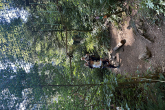 2025_08_07_10_18_IMG_0859