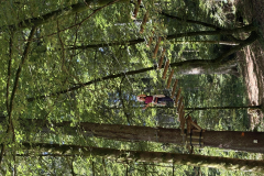 2025_08_07_10_50_IMG_0906