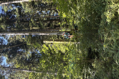 2025_08_07_10_51_IMG_0904