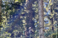 2025_08_07_11_13_IMG_1048