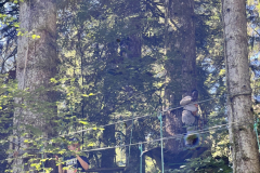 2025_08_07_11_13_IMG_1049