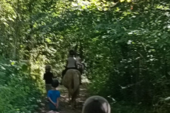 20250808_215656000_iOS-1
