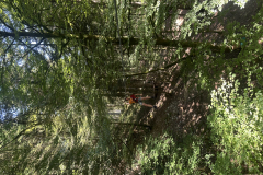 20250808_091024023_iOS