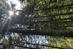 20250808_093810220_iOS