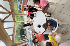 20250810_063233358_iOS