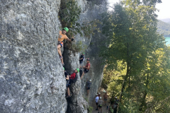 20250811_104406198_iOS