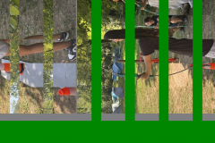 20250811_132648315_iOS