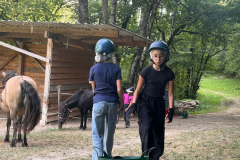 20250813_112607000_iOS