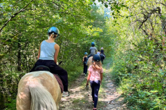 20250819_071409000_iOS-9