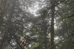IMG-20250822-WA0075