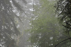 IMG-20250822-WA0078