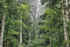 IMG-20250822-WA0103