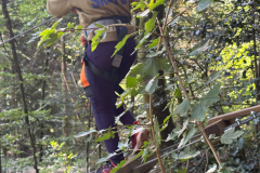 IMG-20250827-WA0107
