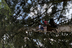 20250717_082816604_iOS